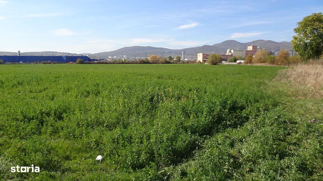 Vand teren intravilan in Deva suprafata totala 43 000 mp - Imagine principală: 2/8