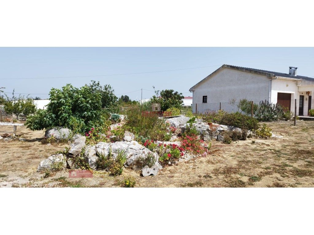 Terreno Urbano em Cesaredas, Reguengo Grande, Lourinhã