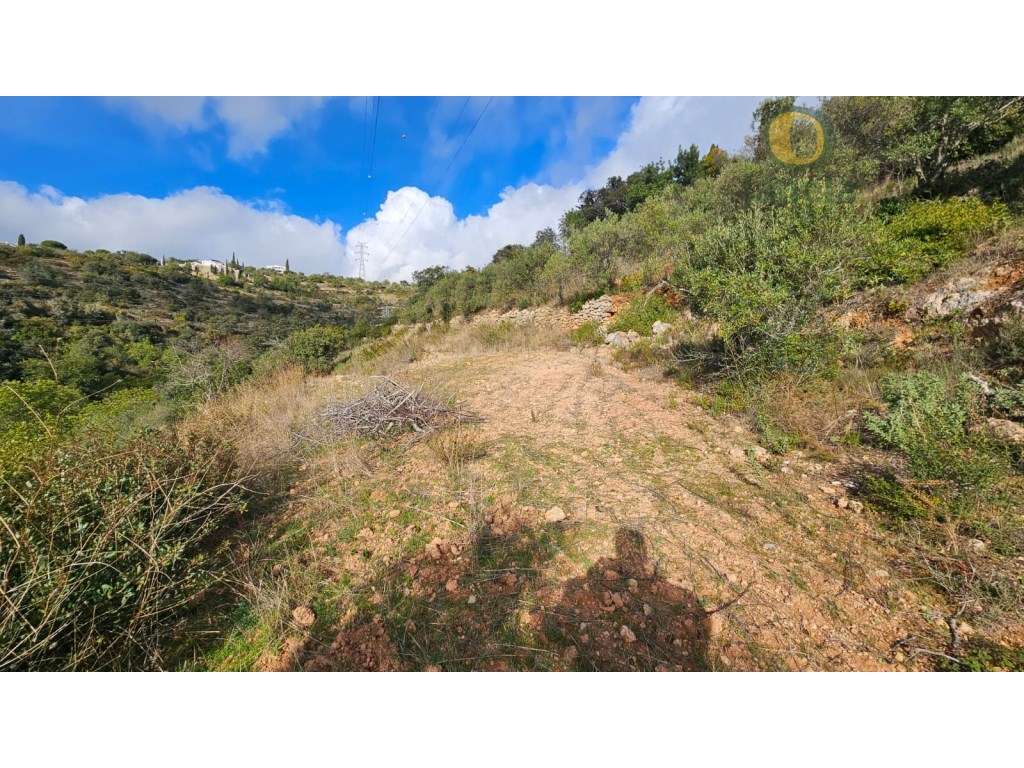 Terreno Rústico em Estoi com Poço-14