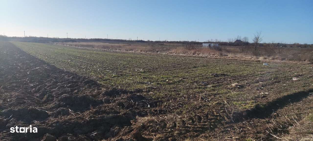 Teren ideal constructii rezidentiale Mogosesti ( Adunatii Copaceni ) - Imagine principală: 4/5