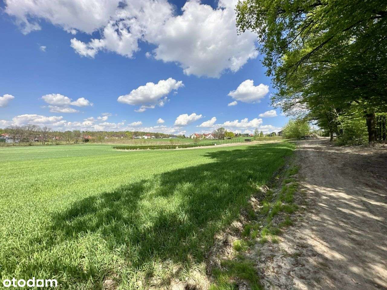 Działka z lasem - Mysłowice, ul. Graniczna-1