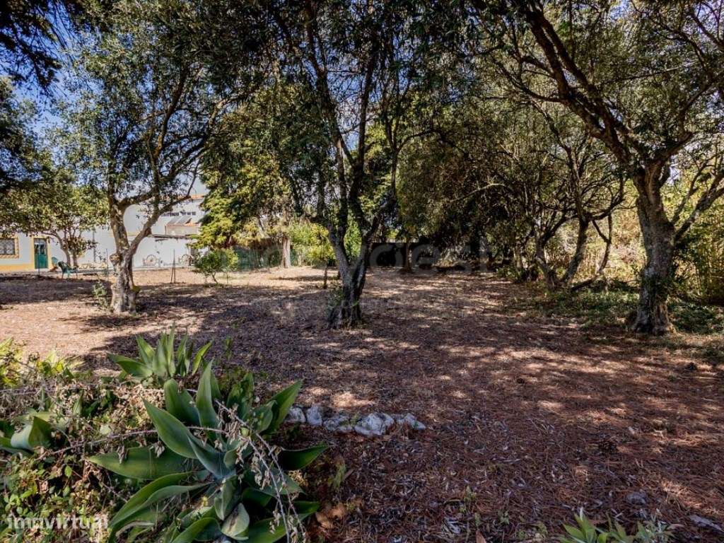 Quinta em Cascais com 10.000m2 - Grande imagem: 2/60