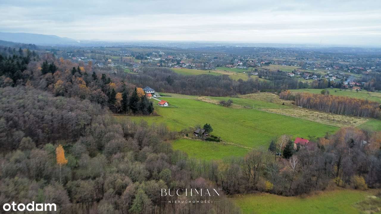 87 ar + Domek pod lasem z możliwością rozbudowy  - BEZ Prowizji-14