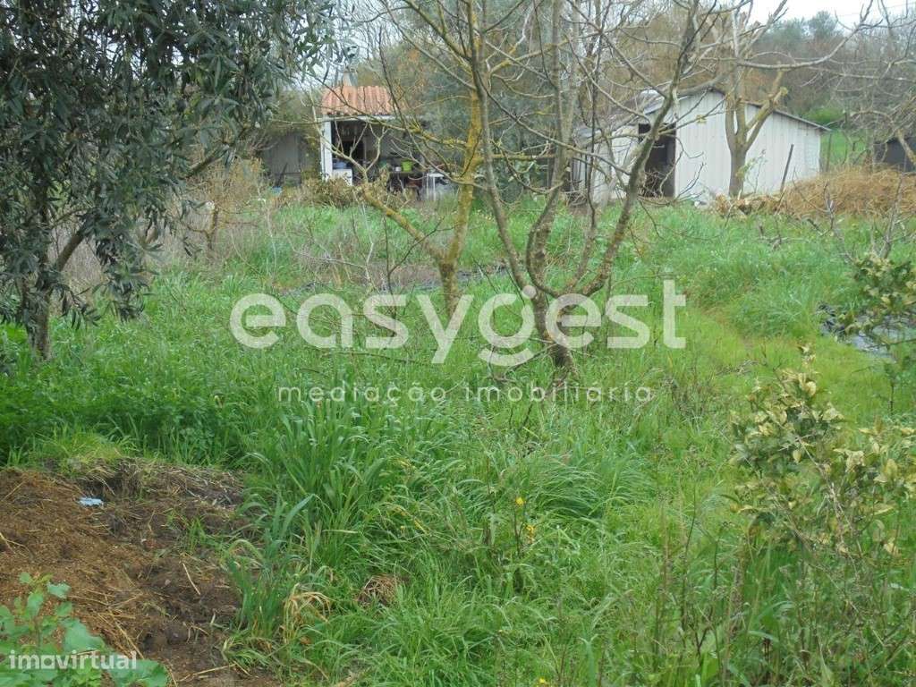 Terreno com 3060 m2 de área muito próximo da Cidade de Tomar - Grande imagem: 3/11