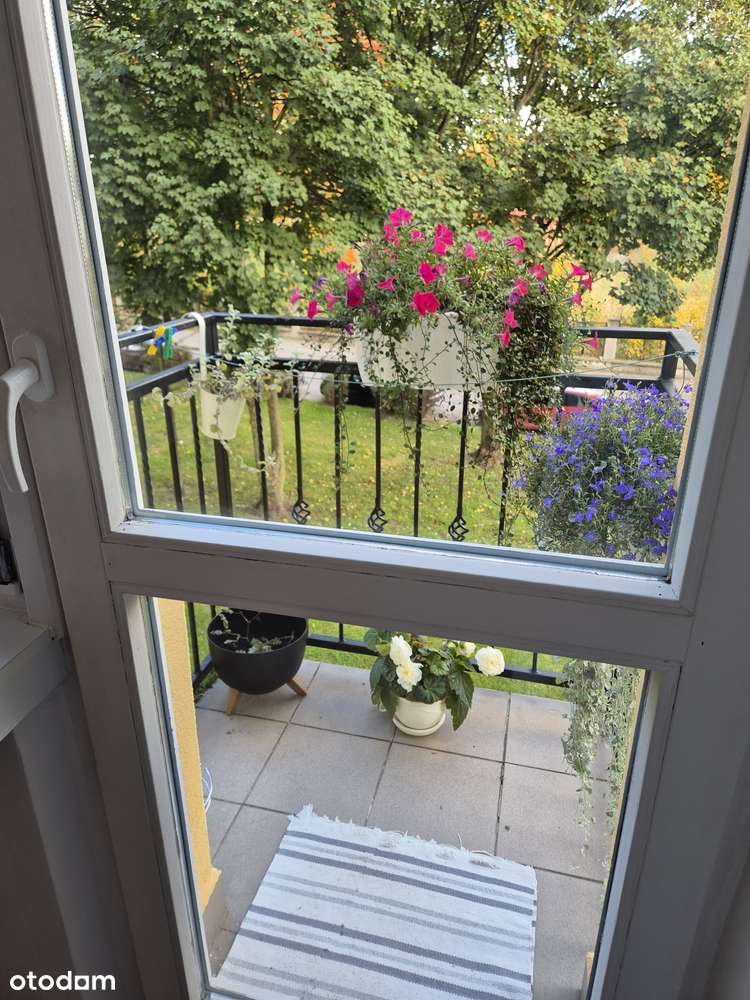 Umeblowane 2-pok. po remoncie + Balkon // 0 %-1