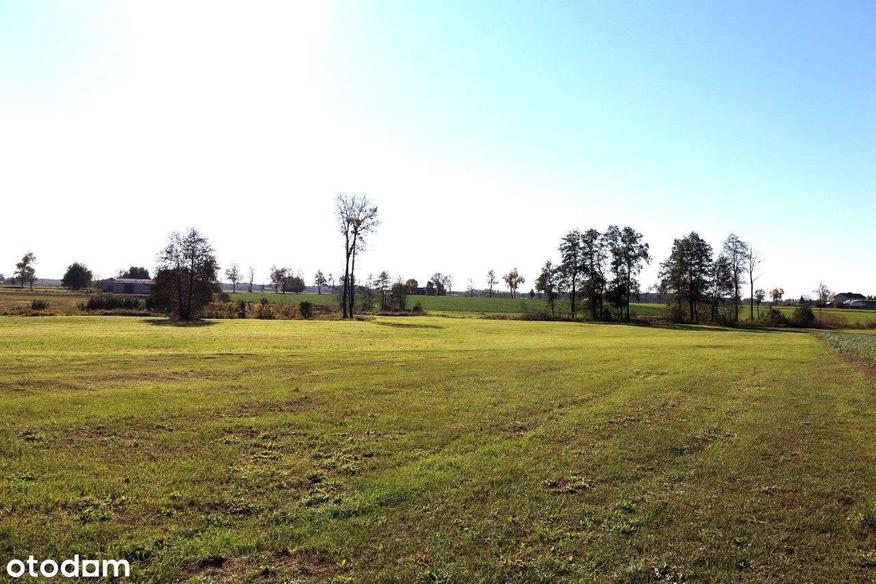 Siedlisko w Głuchowie na dużej działce-15