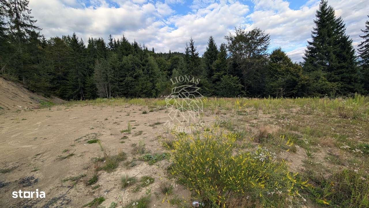 Parcele teren intravilan cu utilitati-panoramic-Colibita - Imagine principală: 3/4