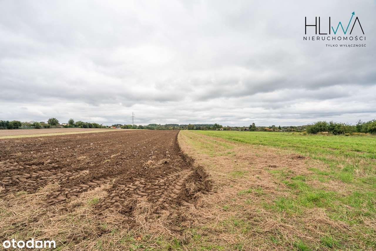 Działki rolne Gdynia Obłuże, powierzchnie od 3003 m2-10