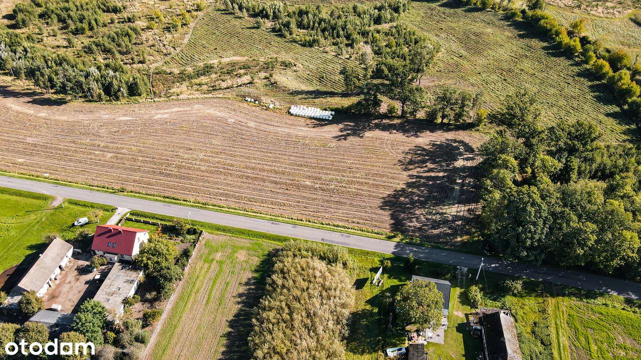 Nowy Folwark, gm. Września, pow. wrzesiński, woj. wielkopolskie-5