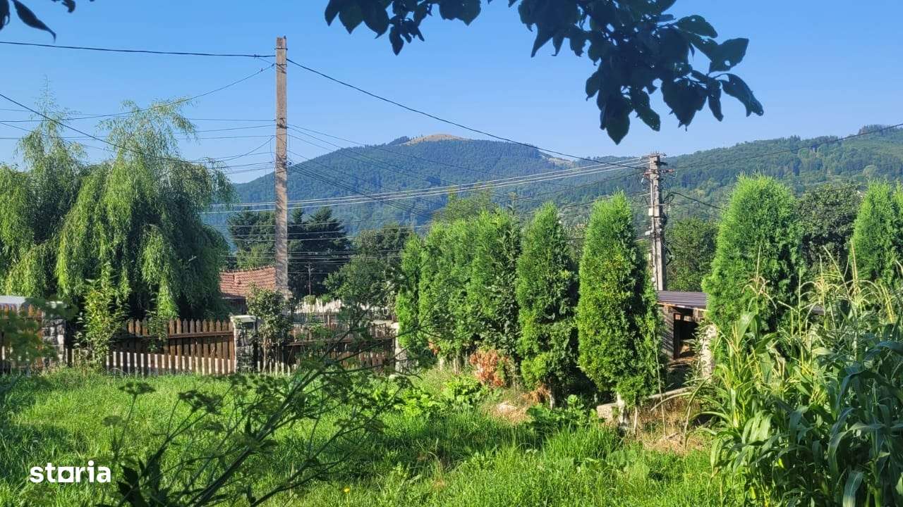 Casa de vanzare in Valea Doftanei - Imagine principală: 5/15