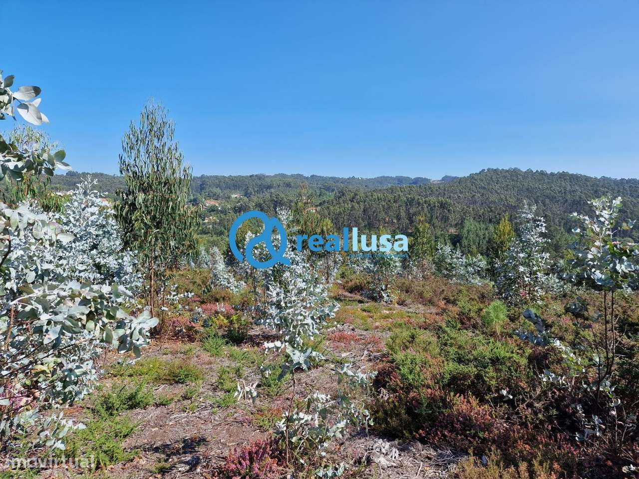 Terreno com excelente exposição solar em Sandim, Vila Nova de Gaia-7