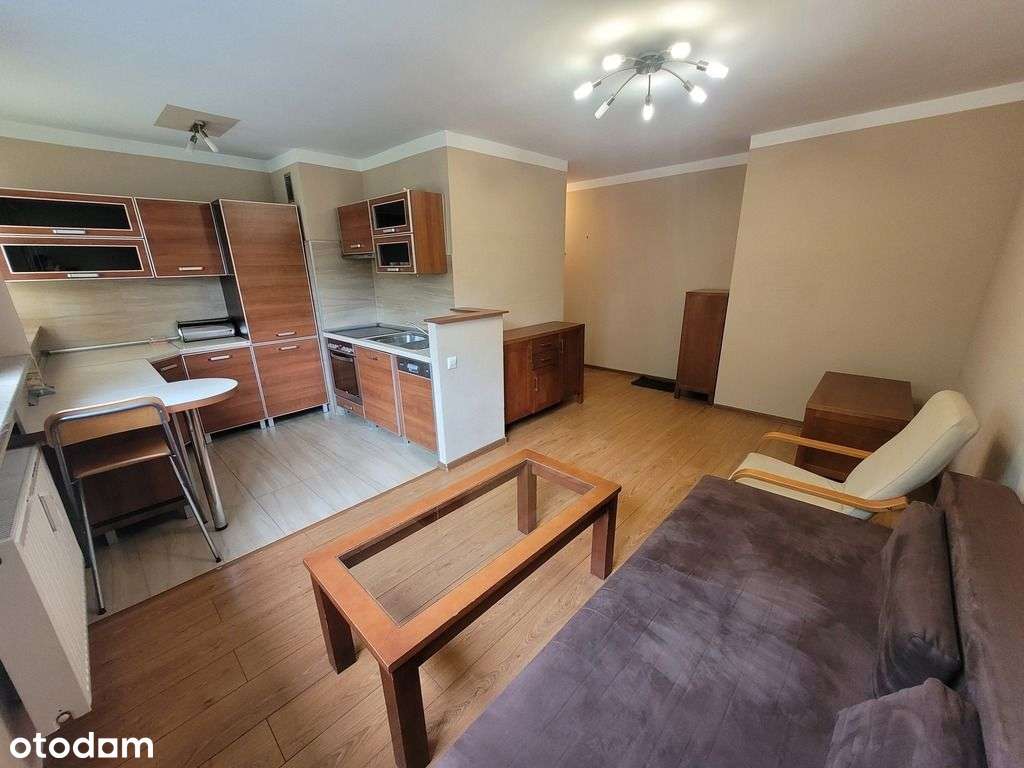 ok. Akademii Ekonomicznej i Medycznej, 2 pok. - Pełny obrazek: 5/14