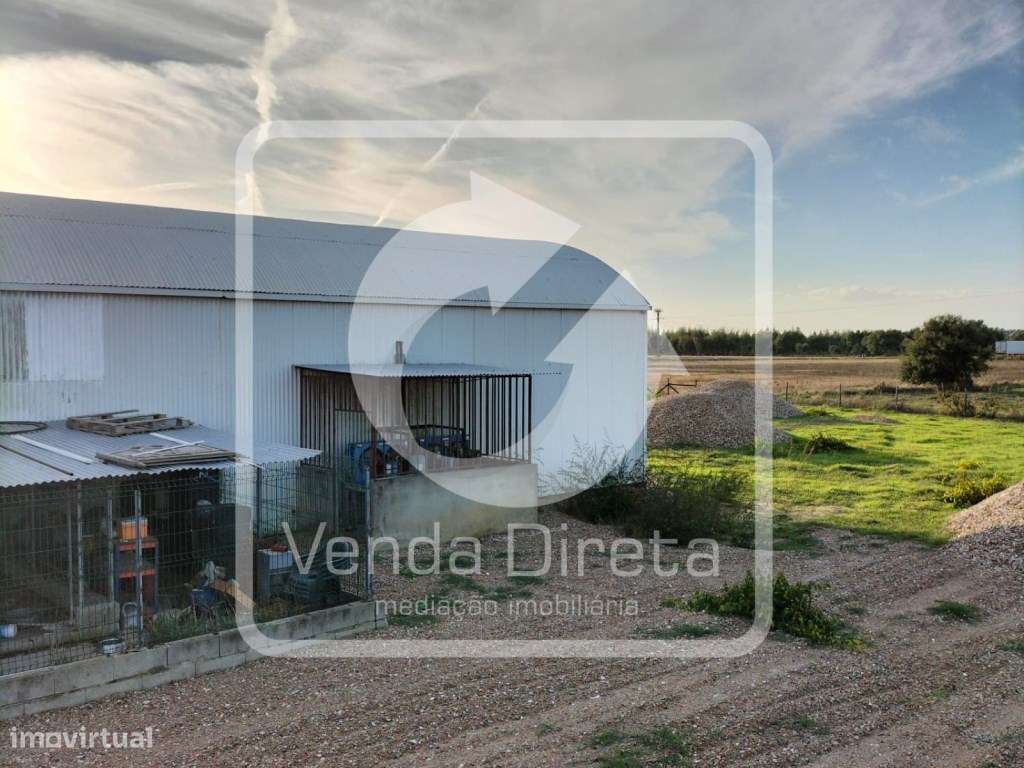 Terreno com 110.000 m2 junto à Nacional 10 - Com Armazém, Furo Lice...-5