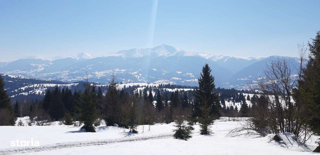 Vand teren 47.8 HA intravilan + extravilan Moisei/Viseu - Imagine principală: 5/10