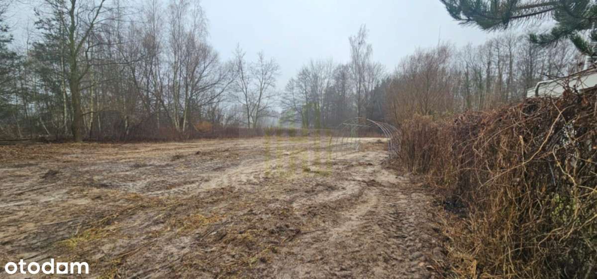 Działka,500m do Podkowy Leśnej,media,MPZP - Pełny obrazek: 5/8