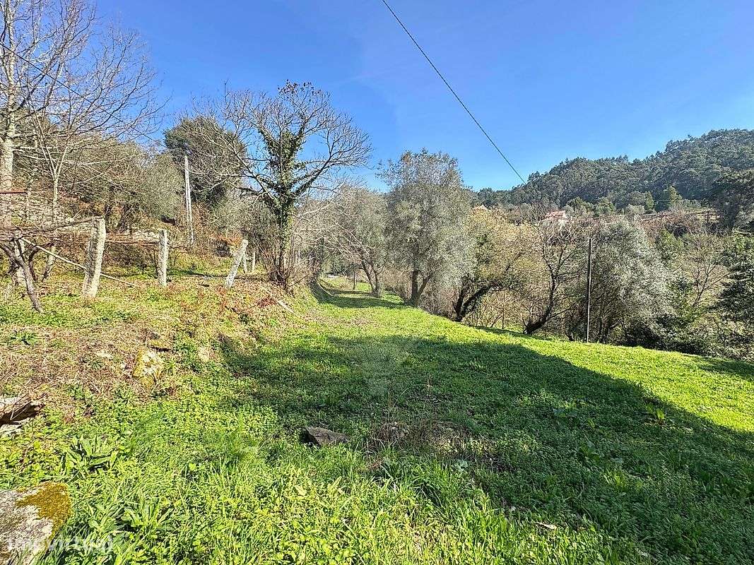 Terreno  para venda-11