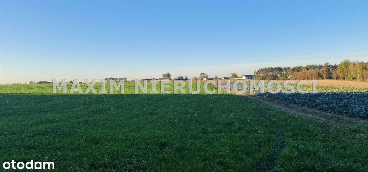 Piękne działki w miejscowości Zaręby gm. Zakroczym - Pełny obrazek: 5/14