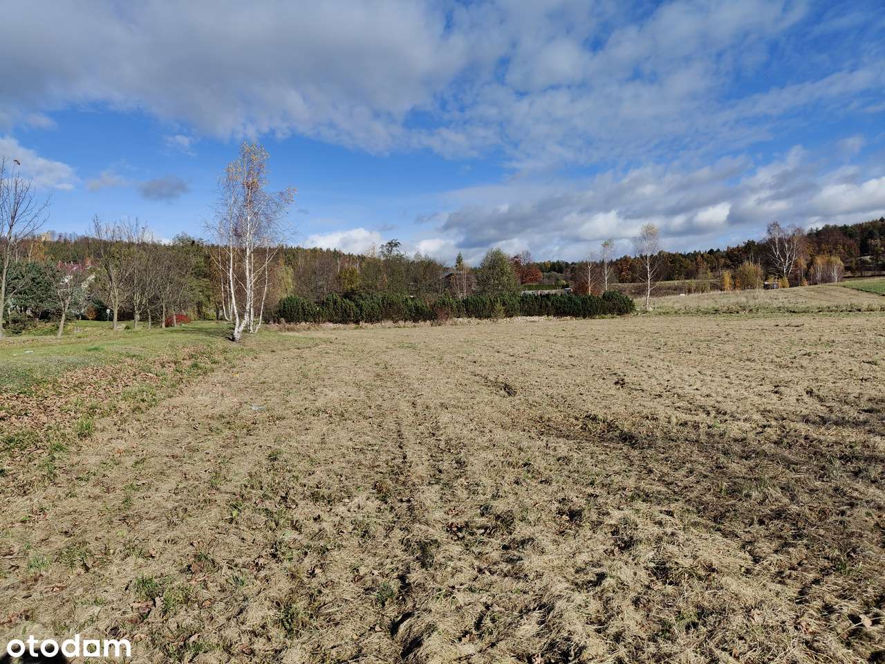 Działka w Sosnówce-7