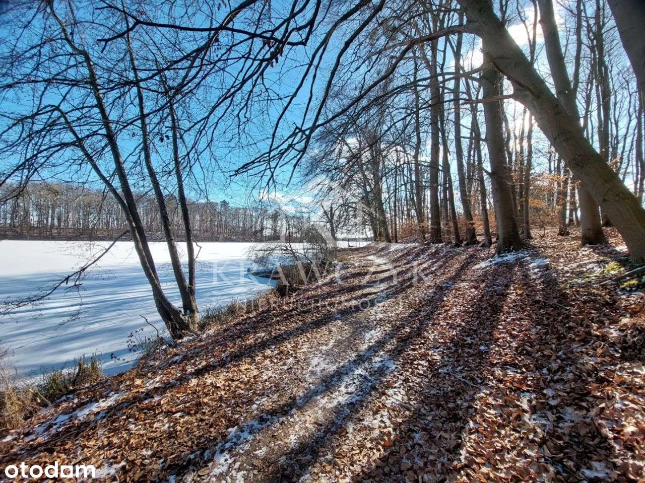 Na Sprzedaż Wyjątkowa Działka W Lipianach - Pełny obrazek: 5/8