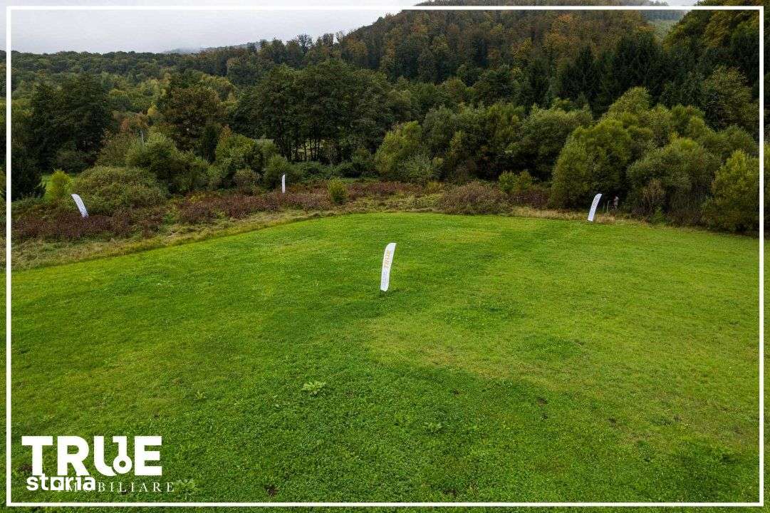 Teren intravilan Câmpul Cetății 2600m² – zonă de vacanță - Imagine principală: 4/16