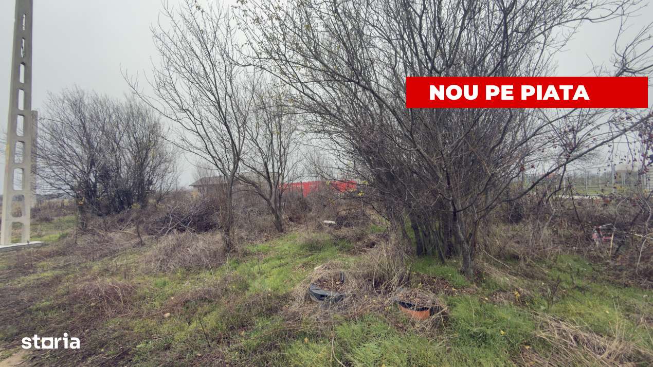 Teren de 533 mp - 10 min de Pitesti-Albota Arges!-0
