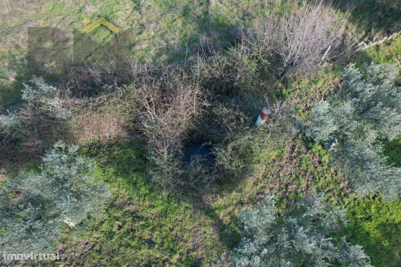 Quintinha  Venda em Salgueiro do Campo,Castelo Branco - Grande imagem: 4/7
