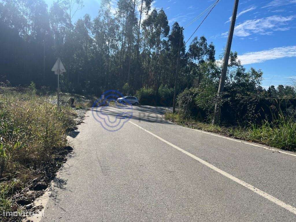 Lote com projeto aprovado com 2866m2 - Grande imagem: 4/20