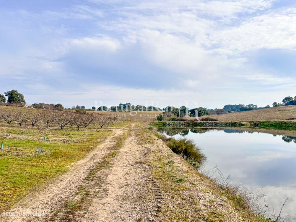 Quinta de 10,6 hectares com 6 ha de cerejeiral - Grande imagem: 2/35