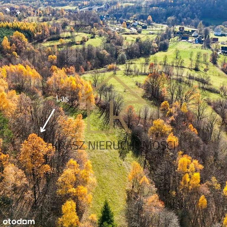 Widokowa działka rolna w Zawadce k/Tymbarku - Pełny obrazek: 4/7