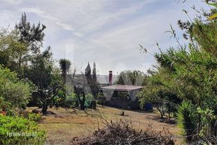 Terreno de 740m2 com Projeto Aprovado para Moradia T4 com piscina em M - Grande imagem: 2/13