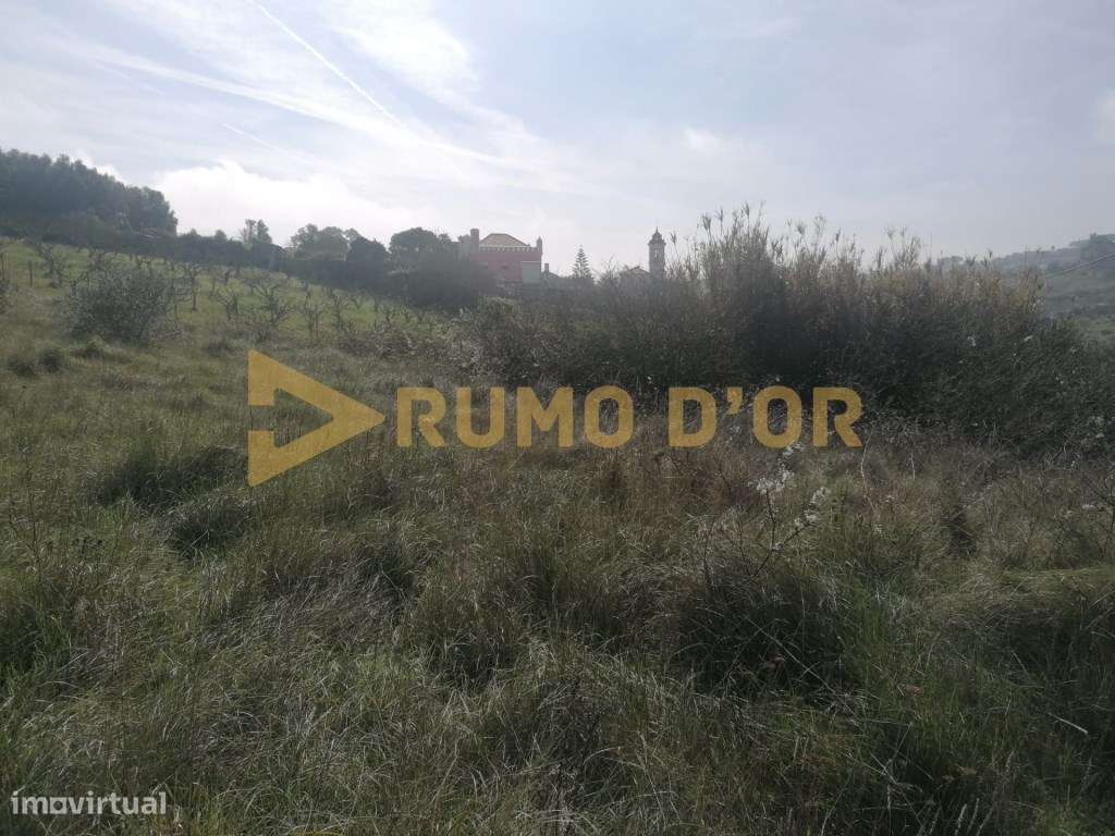 Terreno rustico com parcela urbana a 5 km do centro de Vila Franca ... - Grande imagem: 5/11