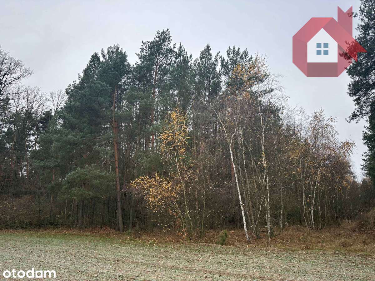Zadrzewiona działka 2100 m² - 10 minut od Zegrza-8