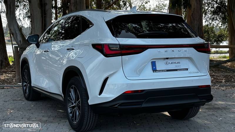 Lexus NX 350h Executive - 7