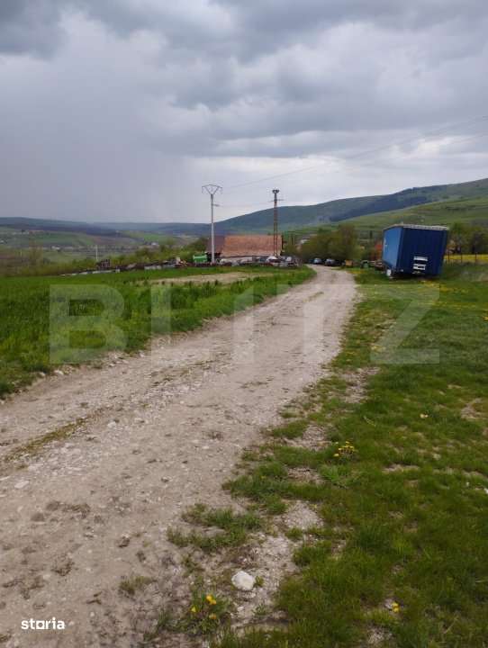 Teren extravilan 3621 mp, in Petrestii de Mijloc - Imagine principală: 5/5