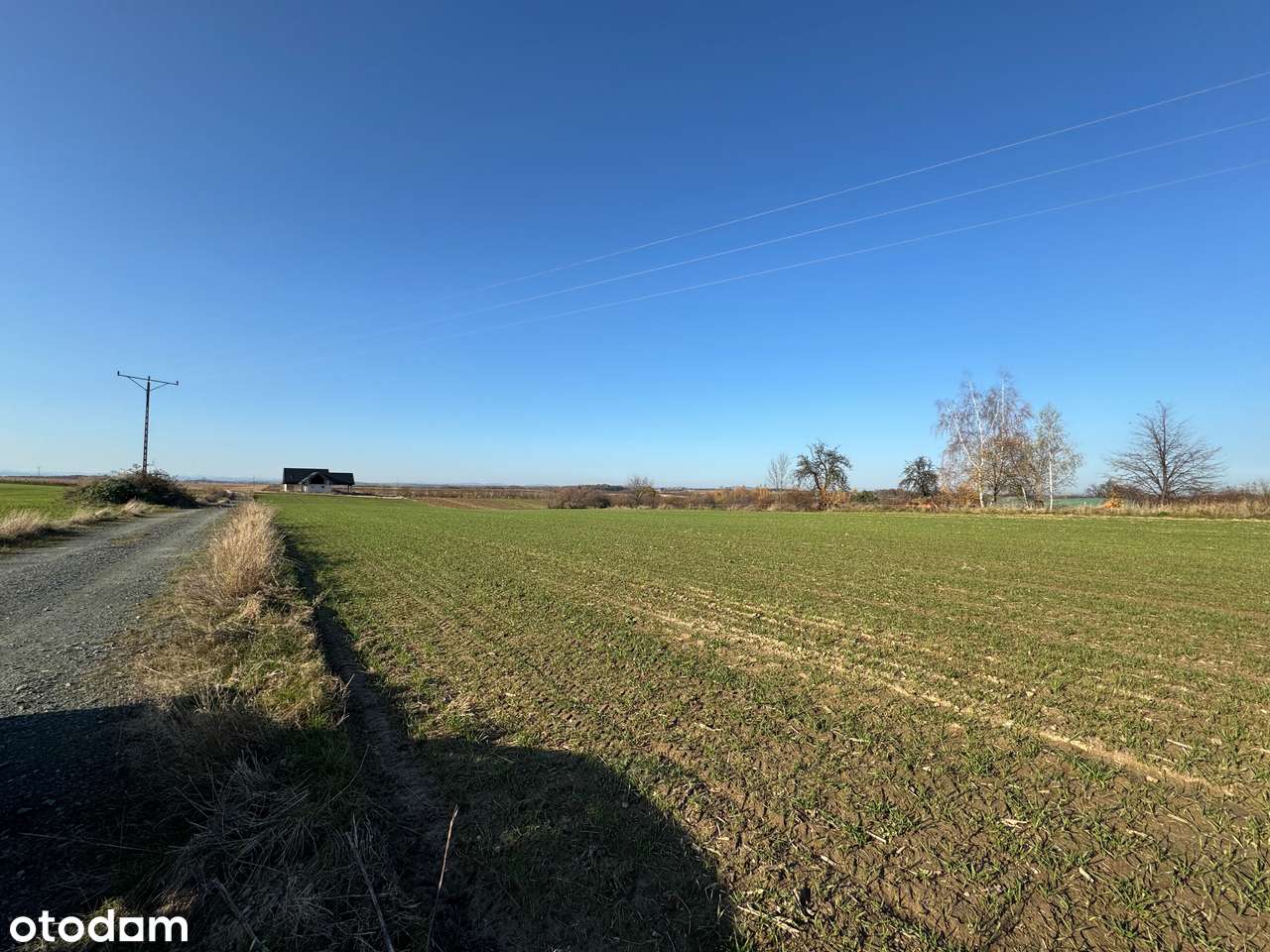 5X Działki budowlane u podnóża Ślęży – Sady k. Sobótki! | Piękny widok-7