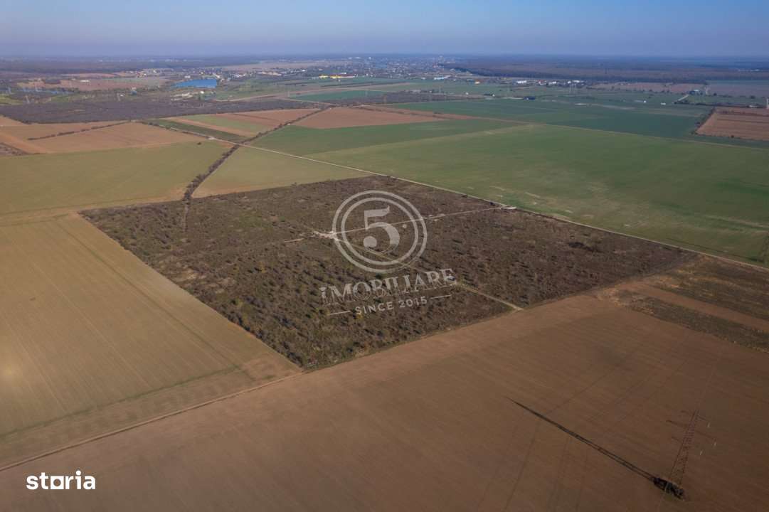 Ocazie- Teren Intravilan de Vanzare- Peris Snagov- Doar 10 euro/mp-12