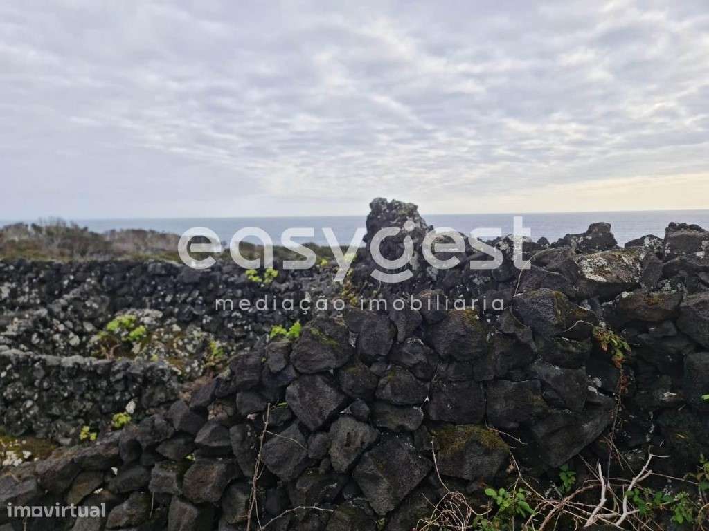 Terreno de vinha junto ao mar na zona da Mirateca na ilha do Pico - Grande imagem: 5/15