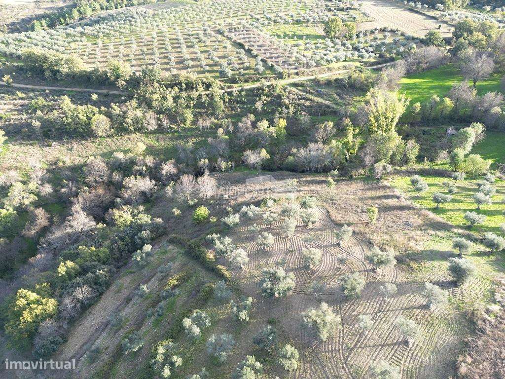 Terreno Agrícola em Grijó de Parada - Grande imagem: 5/10