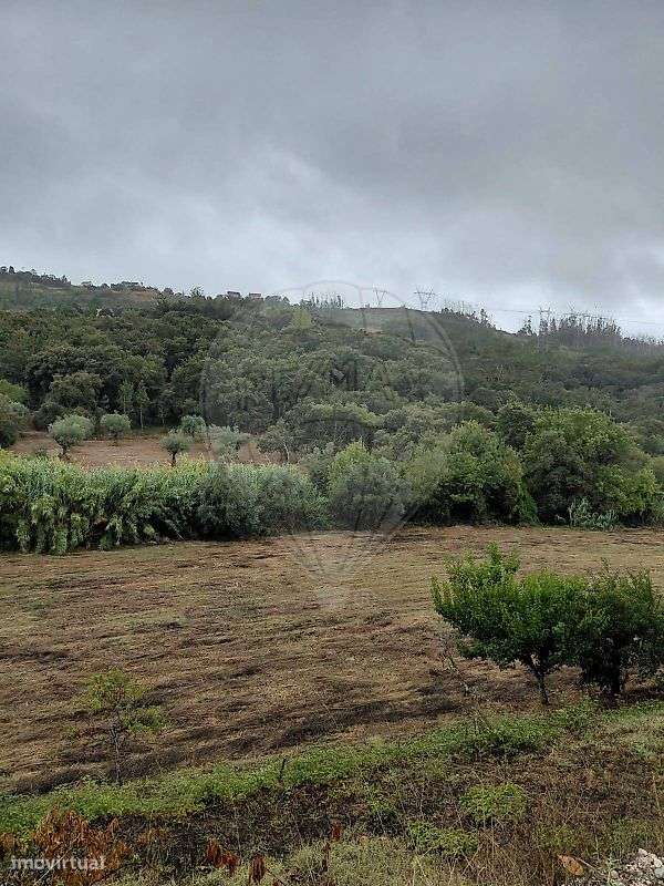 Moradia T3 para venda-29