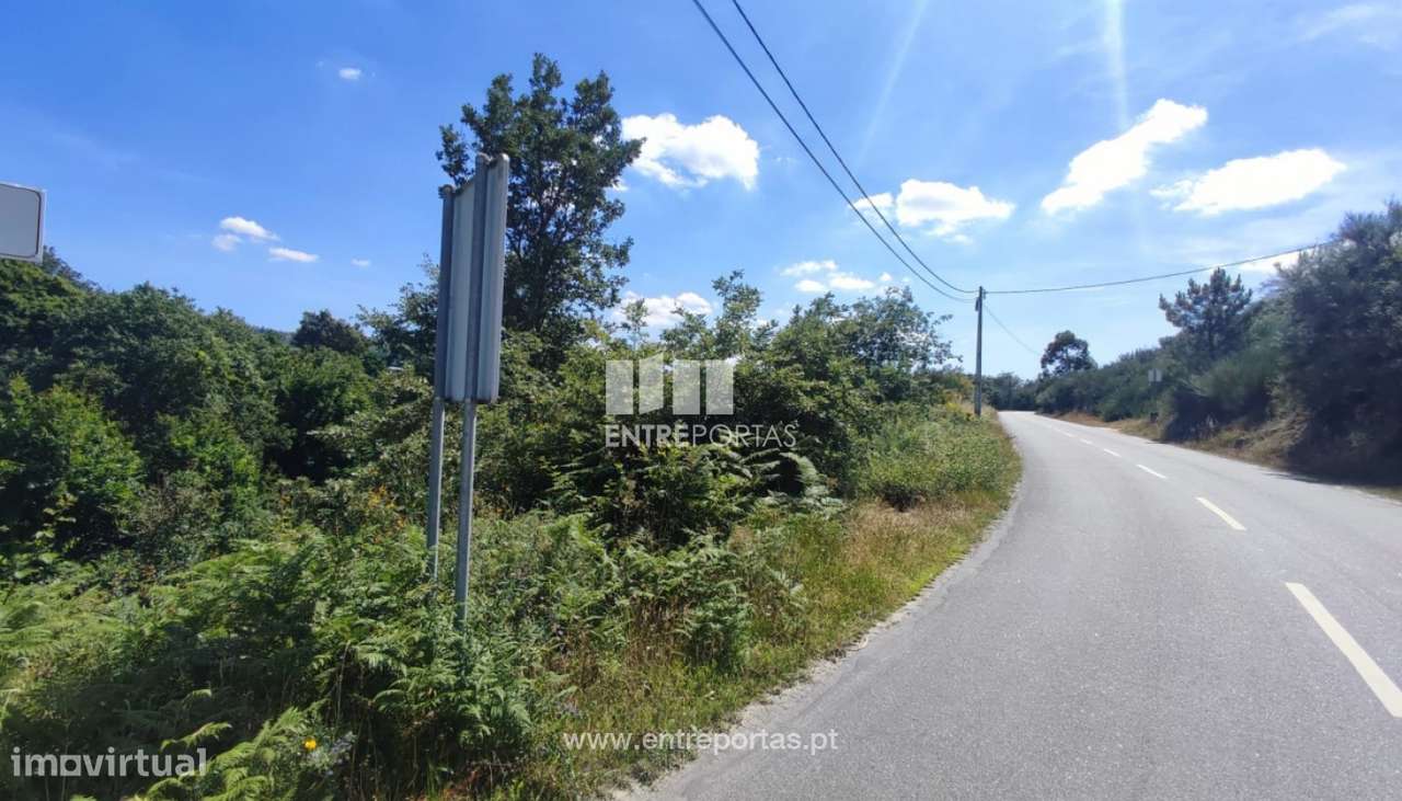 Venda Terreno com 46 048m2, Soalhães, Marco de Canaveses - Grande imagem: 4/30