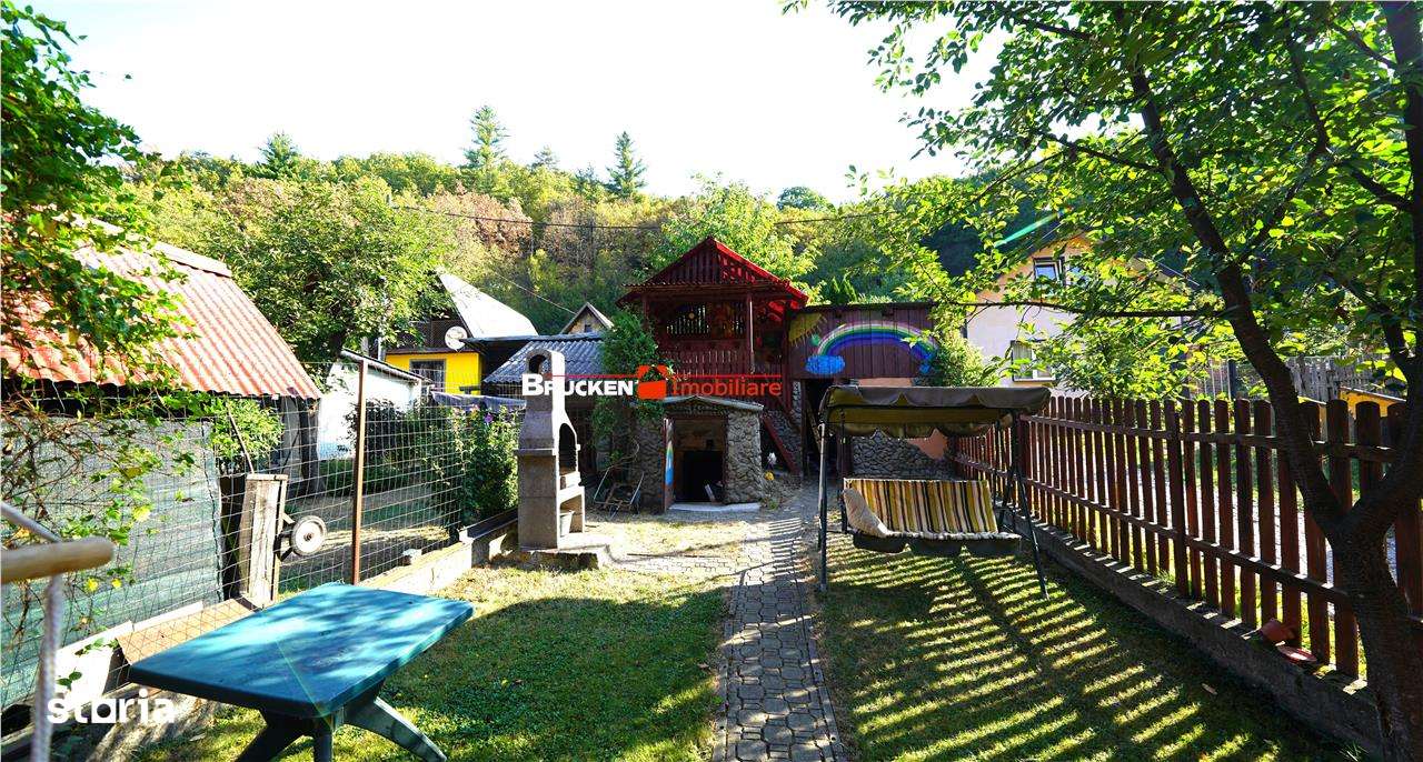 LOCUINTA TA DE VIS IN PADUREA NEAGRA - Imagine principală: 4/15