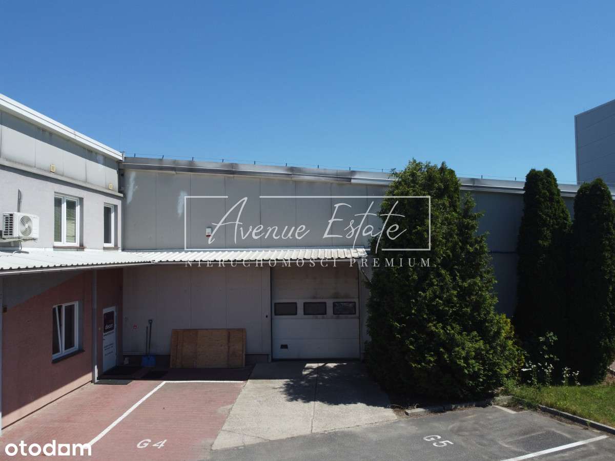 Magazyn 515 m² z zapleczem – dostępny od 01.08 - Pełny obrazek: 3/6
