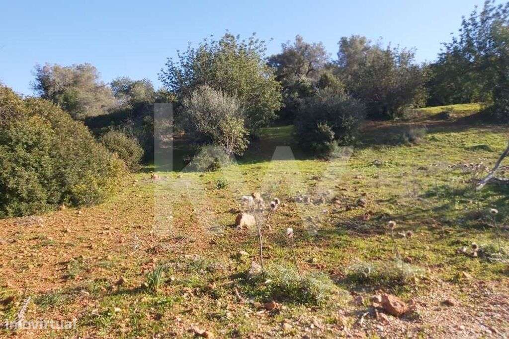 Terreno Rústico no Zambujal - Boliqueime - Grande imagem: 3/20