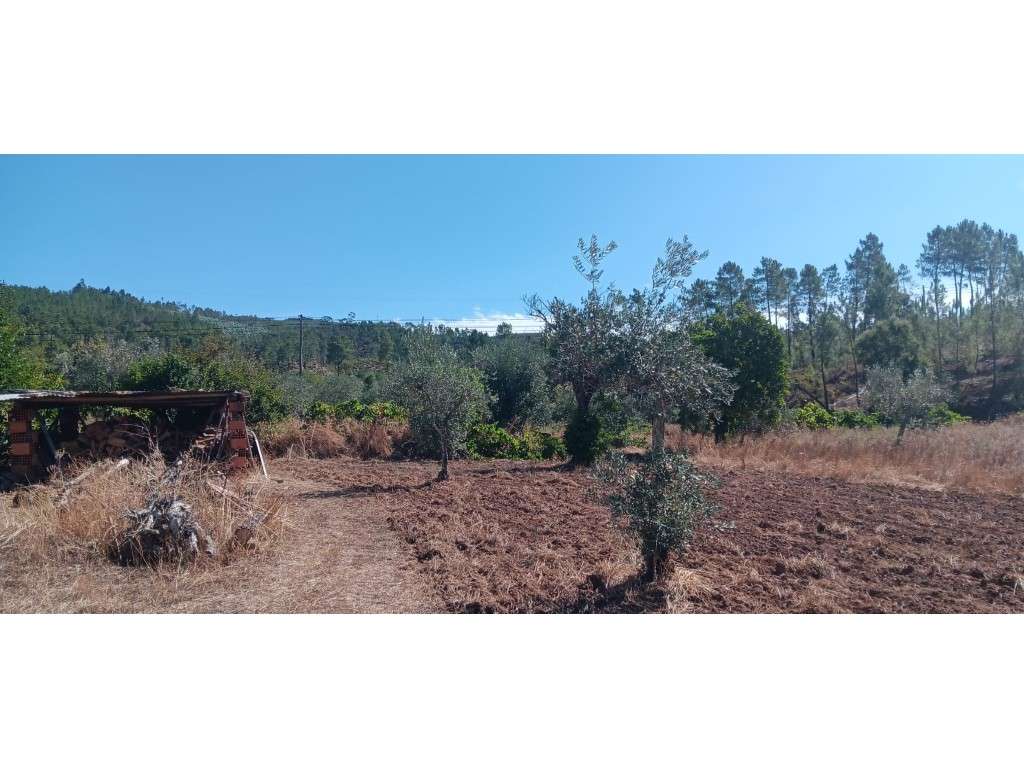 Arrendamento de Construção Rural com Terreno Rústico - Castelo de M... - Grande imagem: 5/12