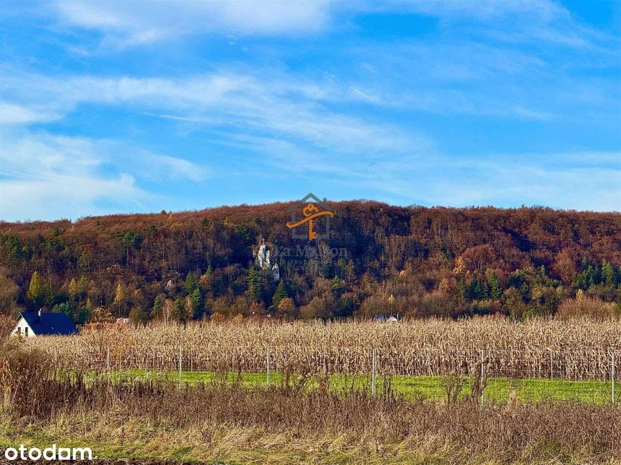 Rusicice, gm. Czernichów. 27 ar w zielonej okolicy - Pełny obrazek: 3/9