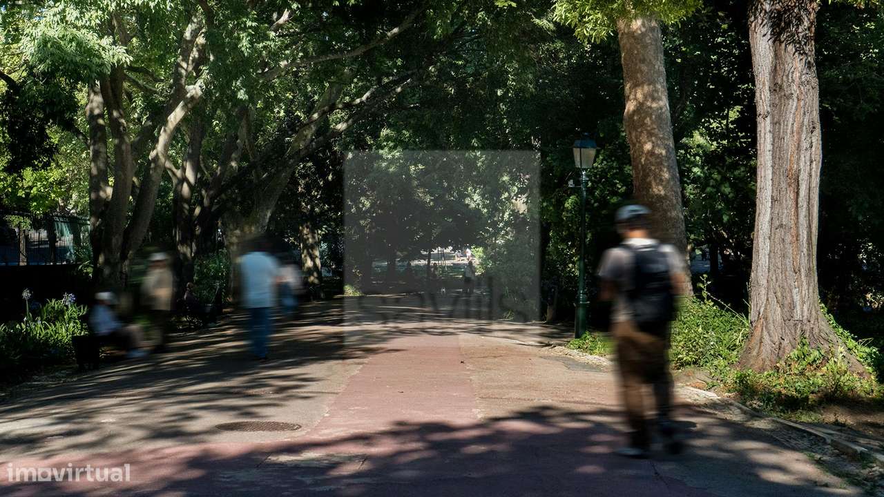 Loja | Campo de Ourique-18