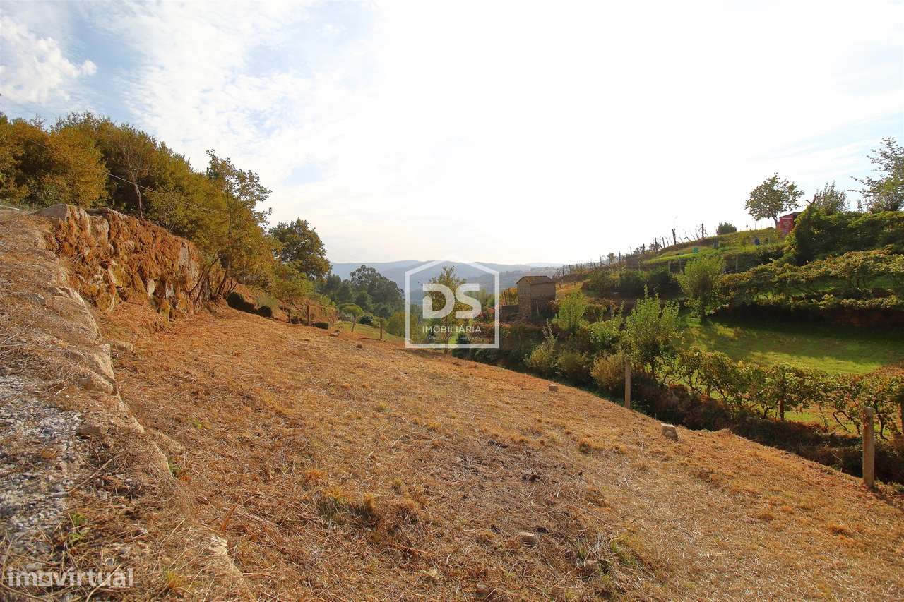 Terreno  Venda em Souselo,Cinfães - Grande imagem: 5/14