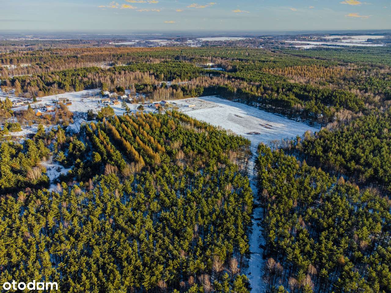 w lesie | nasłoneczniona | woda na działce-8