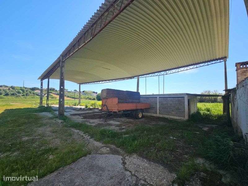 Quintinha da Ilha, Torres Novas, Junto ao Rio Almonda - Grande imagem: 4/12