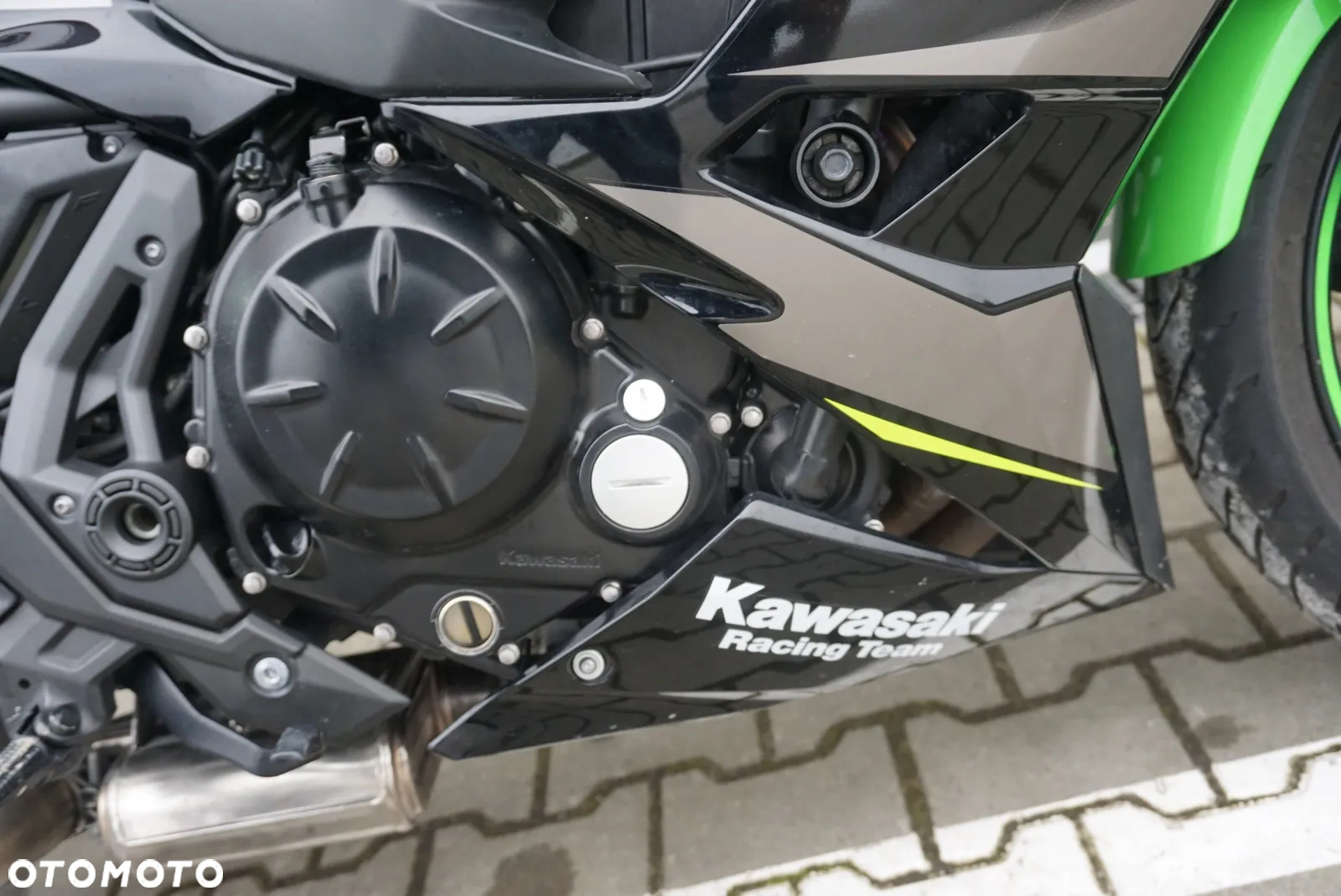 Kawasaki Ninja - 29